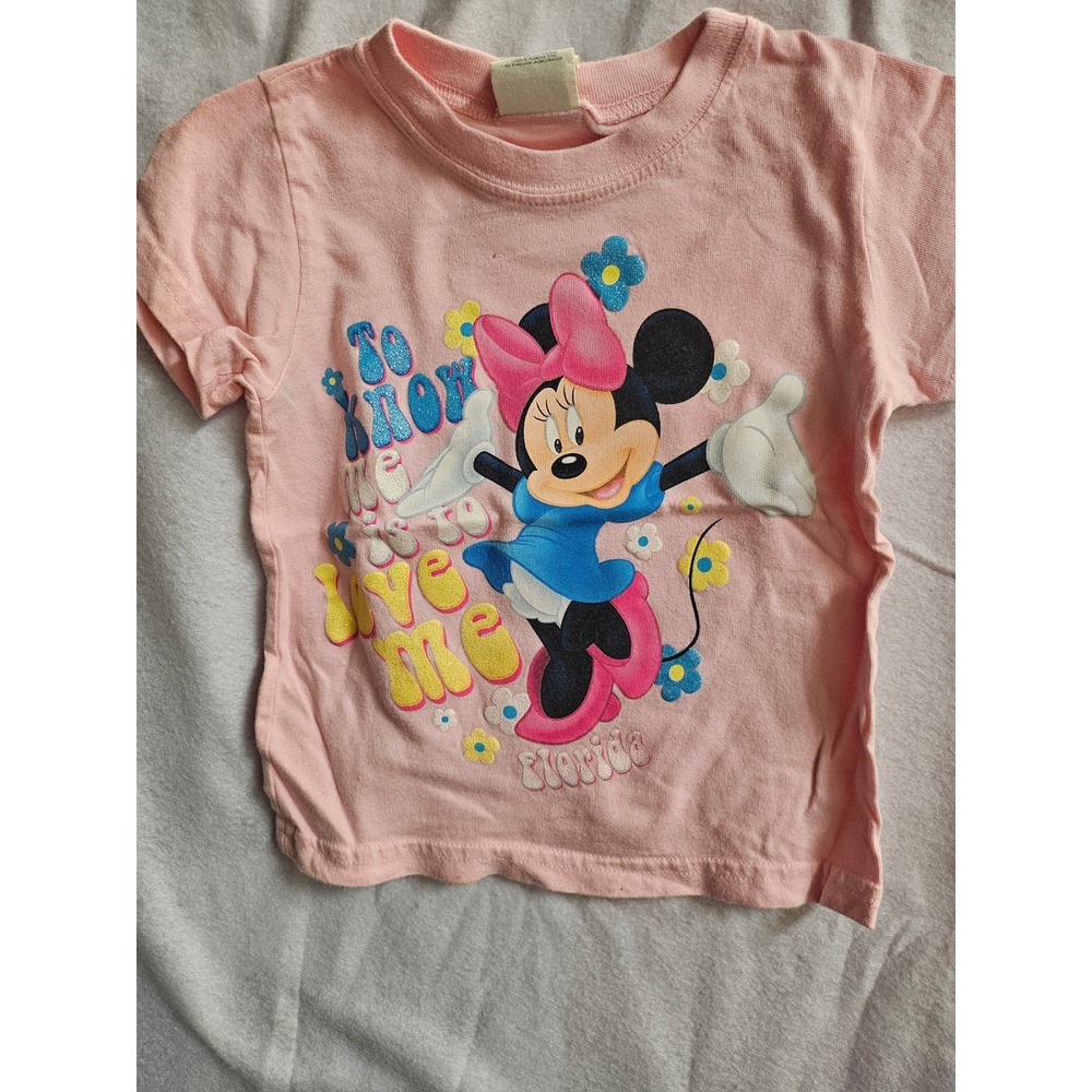 Disney Minnie Mouse Florida Pink Graphic T-Shirt Kids 4T TT1320